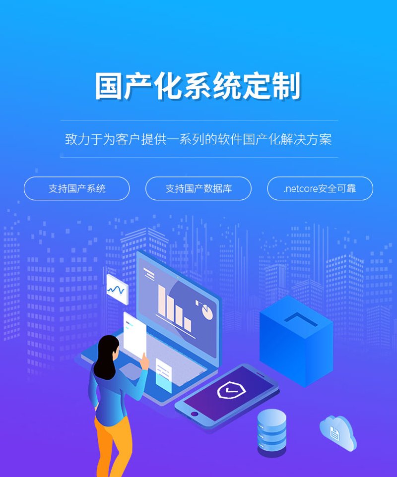 软件定制开发：科技企业成长的新引擎